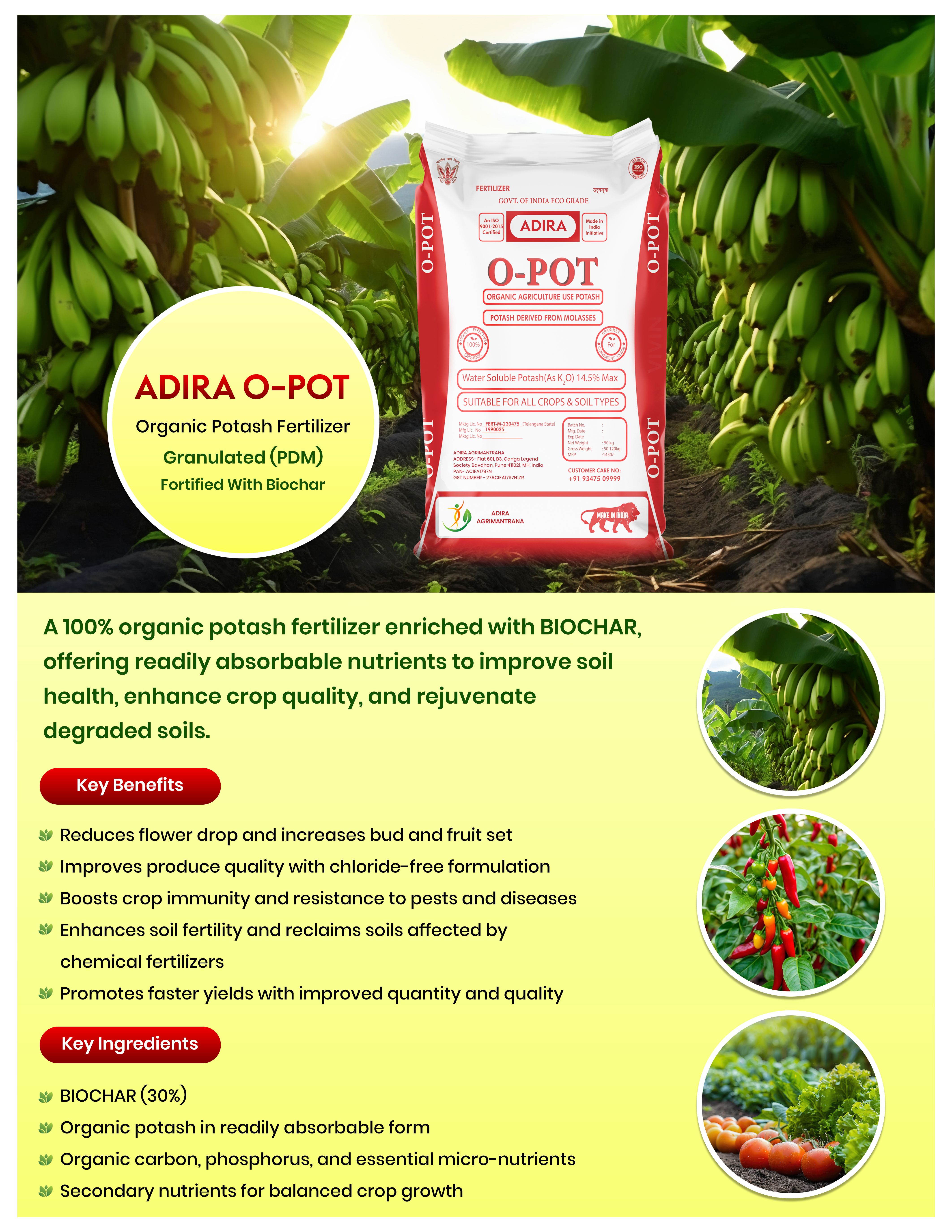 ADIRA O-POT