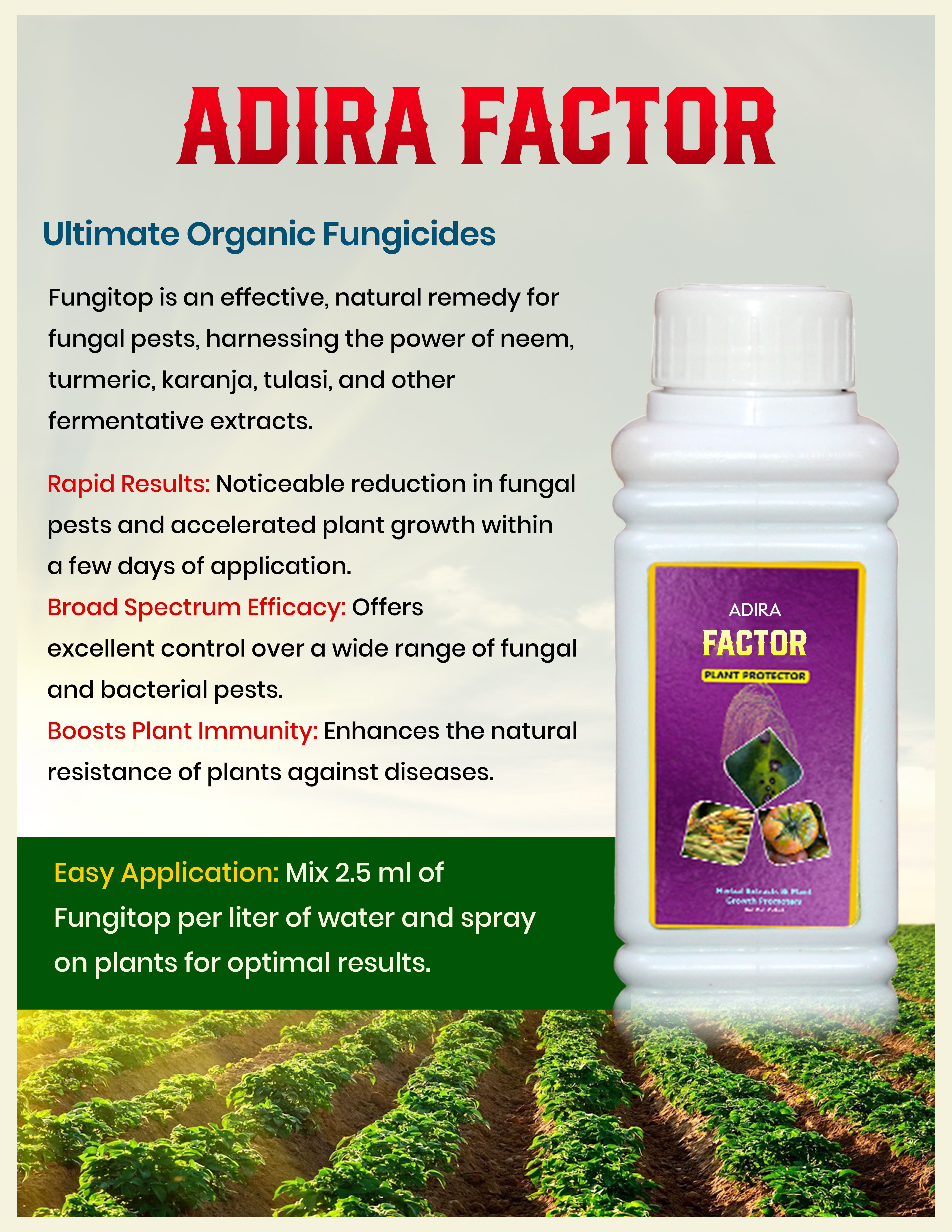 ADIRA FACTOR