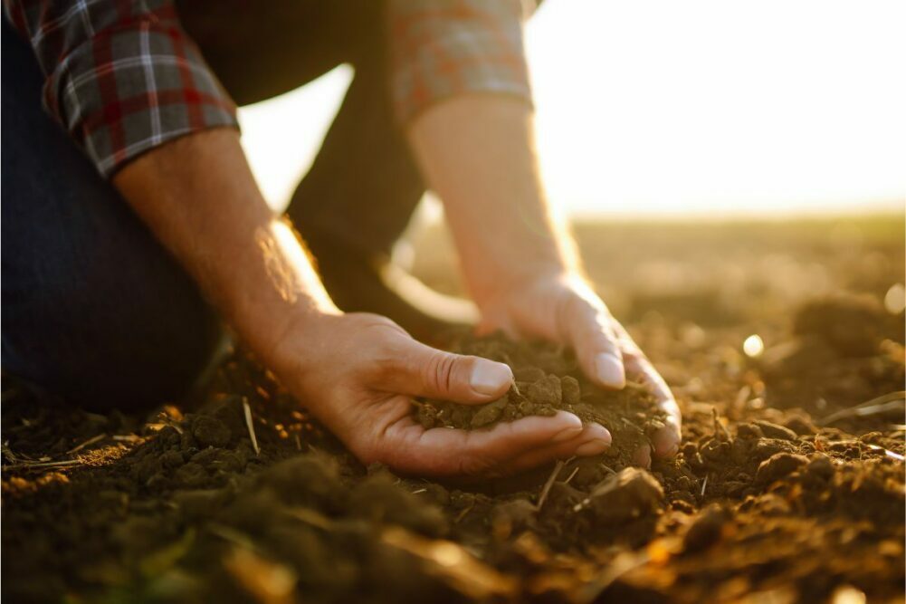 AGRICULTURAL COST OF CULTIVATION OPTIMIZATION